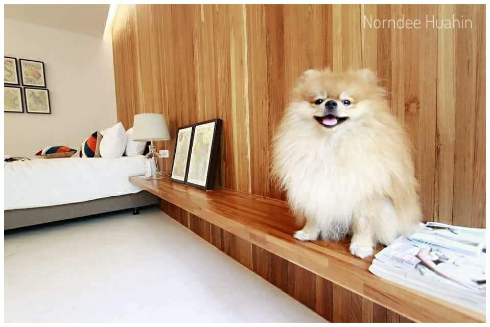 Norndee Hotel HHQ Esterno foto